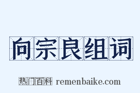 向宗良组词是什么意思的图片